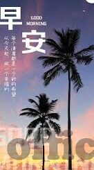 69av麻豆-69AV麻豆,网络文化与修养的错综交织